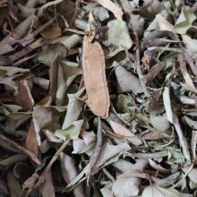 Ұ��ș�����Z�� ��ɽ�� ޵����ľɏ��ľ�z�^��޵��֦��Ʒ�o��ȡ