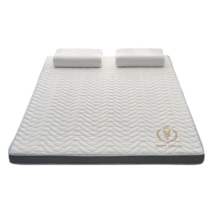 Colchón de látex tridimensional de seda de leche, individual, para dormitorio de estudiantes, uso doméstico, tatami grueso, cojín suave, venta al por mayor, personalización image 1