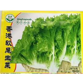 香港软尾生菜种子 农田菜园可盆栽清香脆嫩蔬菜沙拉青菜籽批发
