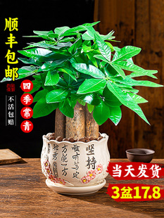 ����lؔ��С����2025�¿�Gֲ�҃�������⸻�F���ļ�ˮ��lؔ��