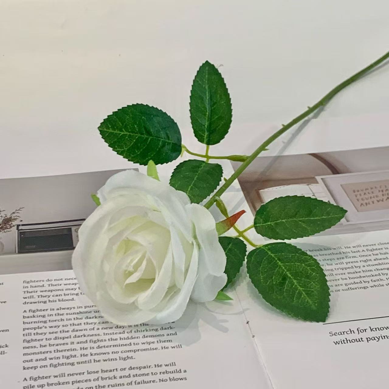 Blanco