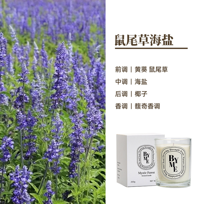 Byme cera de soja aromaterapia vela gran capacidad planta aceite esencial aromaterapia decoración interior avanzada mano traje regalo