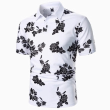 W羳ļuͨRdʿPOLO~ƴɫʿ\R