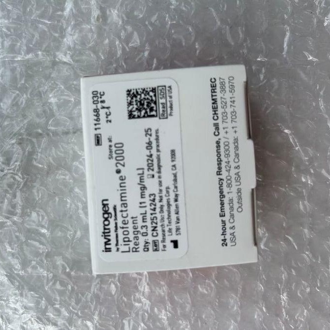 11789020赛默飞invitrogen BP酶Gateway  BP Clonase  II酶混合物
