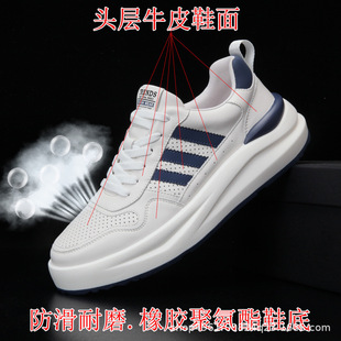 ^ţƤЬ2025ļ¿n泱͸װЬ\ӴӹeЬ