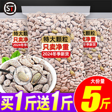 2024؛خawζԹɹʳlV