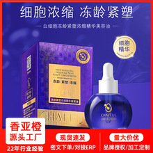 CHAFFUL��ܽ���׼������g�o�ܝ�s���A������  �����B�w���ƴֲ�