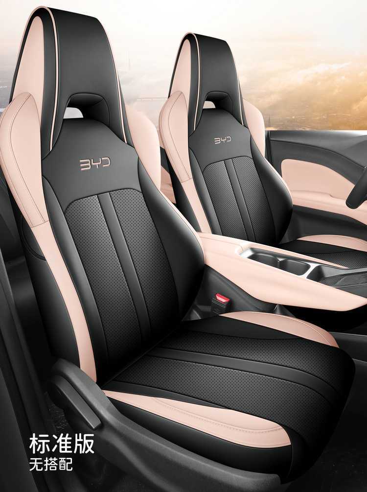 Byd Seagull Seat Cover for All Seasons, Seagull Special Seat Cushion, All-Inclusive Car Seat Cover, Car Seat Cushion