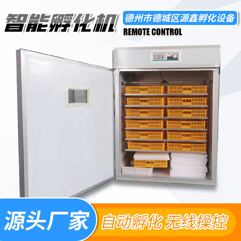 Cross-border African customs clearance incubation equipment…