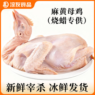 �r�����u���Sĸ�u���D�������r�F�������}�h�uζ����ʳ�����l