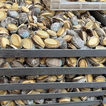 U~ɶYаbSֱNYٛ؛BYbarBخa