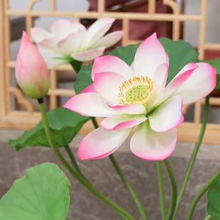 PU����ɻ����~���滨�쾰���߼ٻ�ˮ���b��~�ػ�ˇ��ؔ[�O����