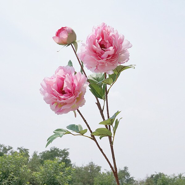 Peony simulation flower peony flower ins home display wedding photo…
