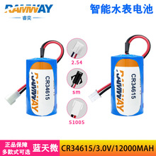 ���CR34615﮵��3V��ҵ�����˹����ŷ�PLC����������ˮ���̸���