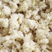 ƵʳʳƷSԭϹĴҰľy500