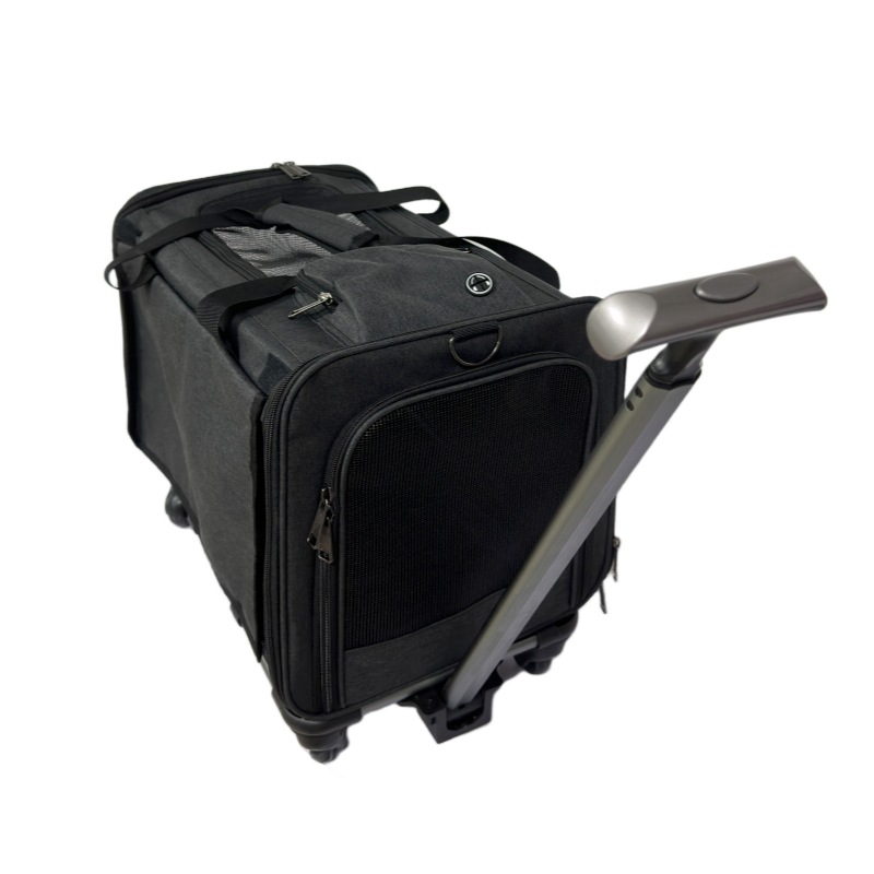 009 # Viejo gris oscuro