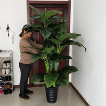 花客厅摆件大型假树发财树植物落地塑料花装饰绿植热