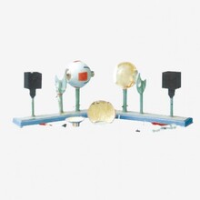 ��Ϊҽ�� ������ģ�� �ɱ��������ṹ��ѧ����ʵ�����Ľ̾�