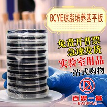 实验室BCYE琼脂培养基平板（军团菌生长平板） 90mmX20个 环凯