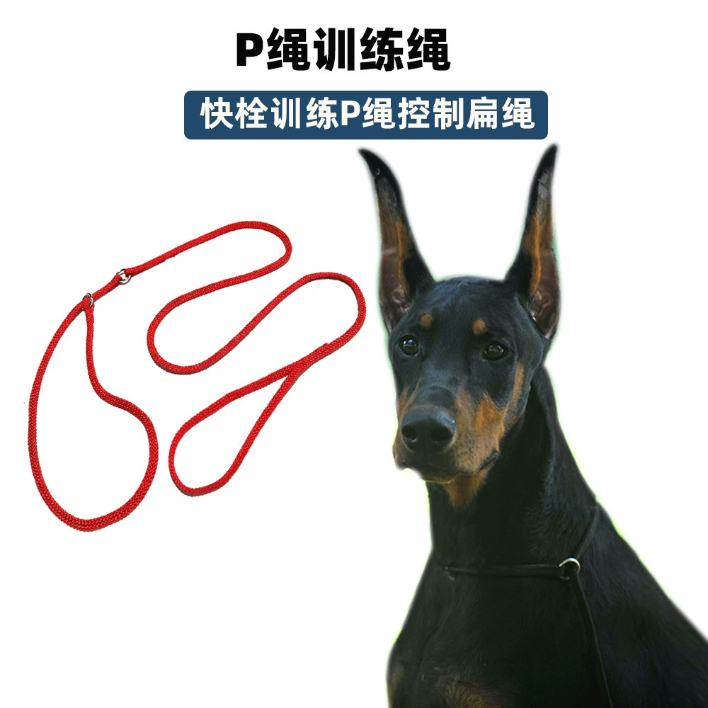 Тренировочный поводок-рулетка для собак, плетеный, быстросъемный, нейлоновый, для соревнований и дрессировки, контроль за движением, товары для животных