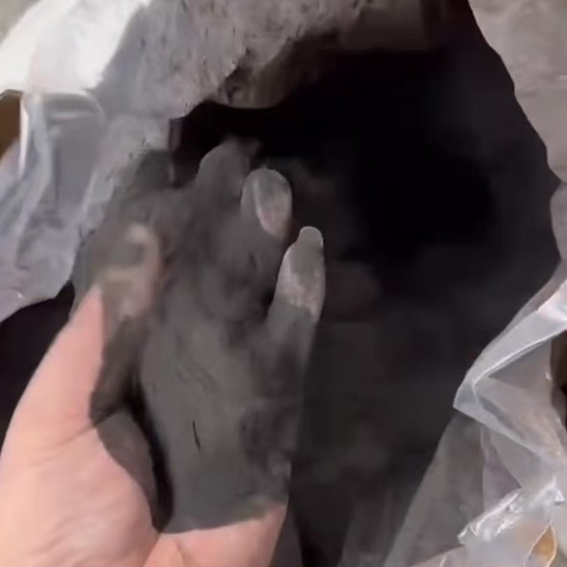 SLS激光烧结3d打印尼龙PA12尼龙11粉末赢创阿科玛EOS阻燃级黑色本