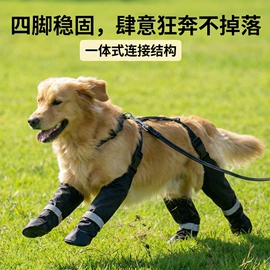 狗狗服装;猫猫牵引;宠物鞋靴