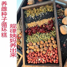 种子循环糕无花果