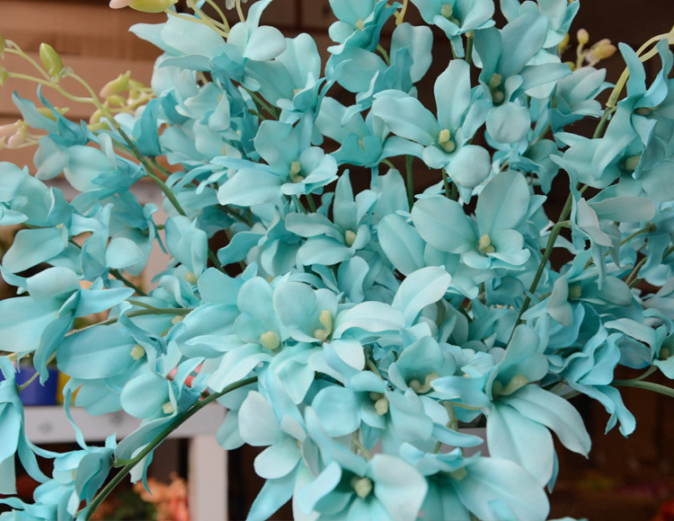 TB2oh8iaVXXXXc3XXXXXXXXXXXX-18