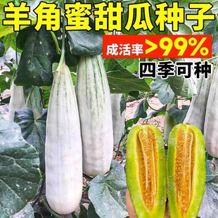 �����������ϷN�ݴ�ȫ�ļ�ˮ����ꖱ�������ϷN������߲˷N��