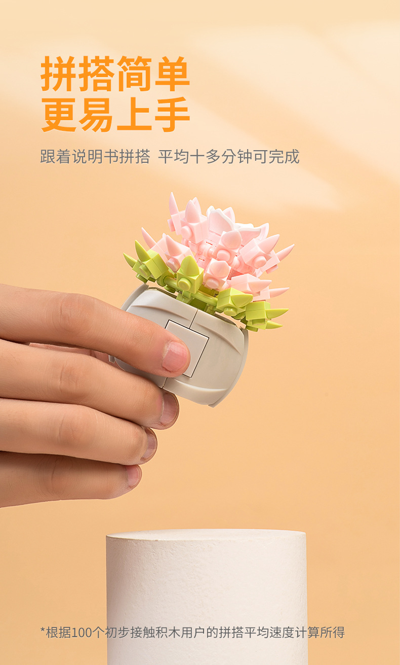 积木多肉盆栽_05.jpg