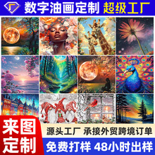 各种尺寸绷框diy数字油彩画 源头工厂专供外贸跨境数字油画定制