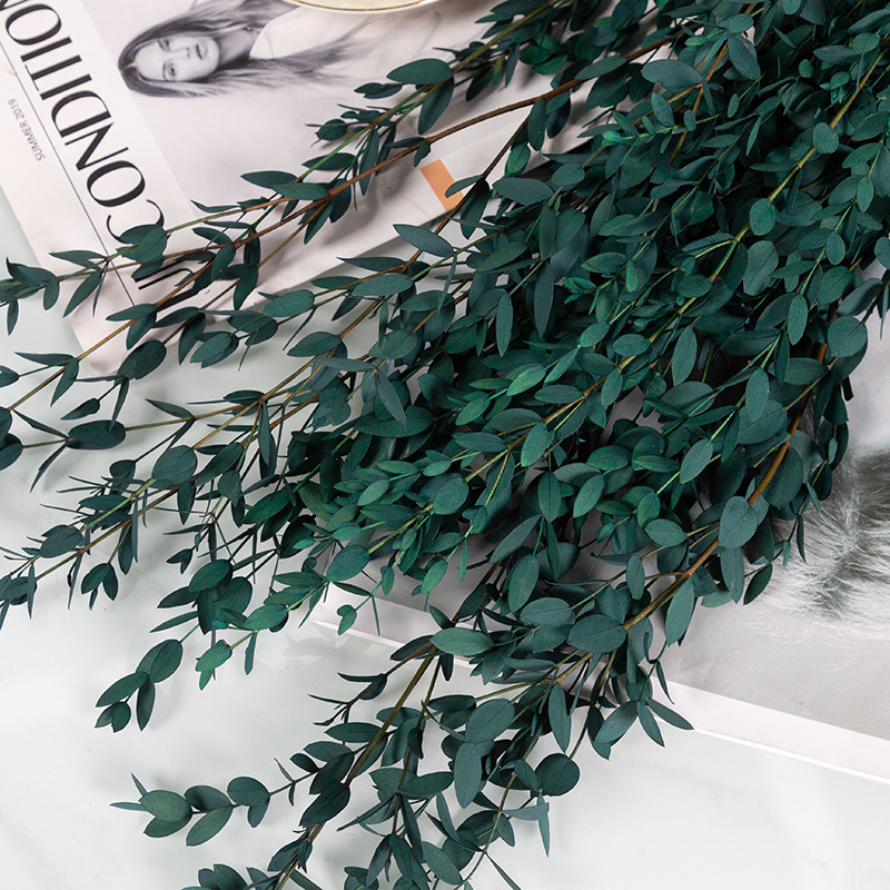 블루 100g 미국 잎