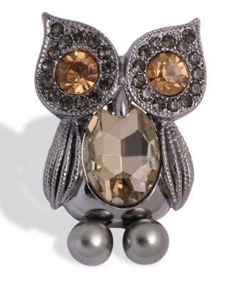 enamel owl brooch fashionable | Yaxa sancaqları - 7