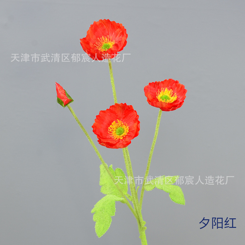 선셋 레드
