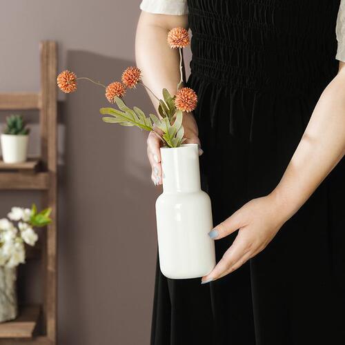 Simple style glass vase wholesale ins high-looking flower arrangement device home desktop decoration ornaments