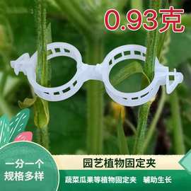 多功能吊蔓植物夹固定卡扣园艺藤蔓绿植夹辣椒茄子定型植物绑蔓夹