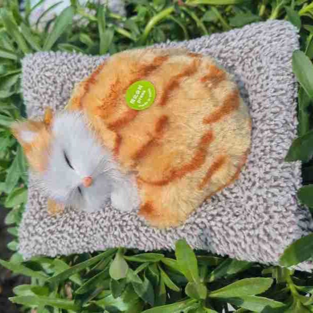 Decoración de automóviles pony pony llamará gatito simulado consola central adornos carbón activado eliminación de olor formaldehído suministros image 4