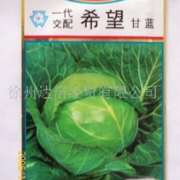 Professional Agent for Japanese Sakata Original Imported Cabbage Seeds - Good Neatness, Early Maturing Varieties, Hope/Prospect, Etc Professional Agent for Japanese Sakata Original Imported Cabbage Seeds - Good Neatness, Early Maturing Varieties, Hope/Prospect, Etc