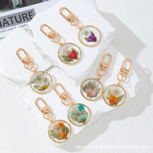 �羳ɭϵ������Ȼ�����ɻ��r��͸�����z�M���ǵ���耳׿۰������