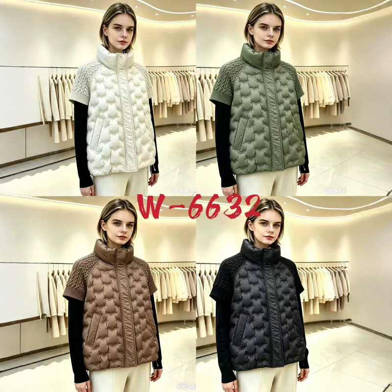 New autumn and winter cross-border women's down vest with stand-up collar, seamless stitching, sleeveless, short, warm jacket New autumn and winter cross-border women's down vest with stand-up collar, seamless stitching, sleeveless, short, warm jacket