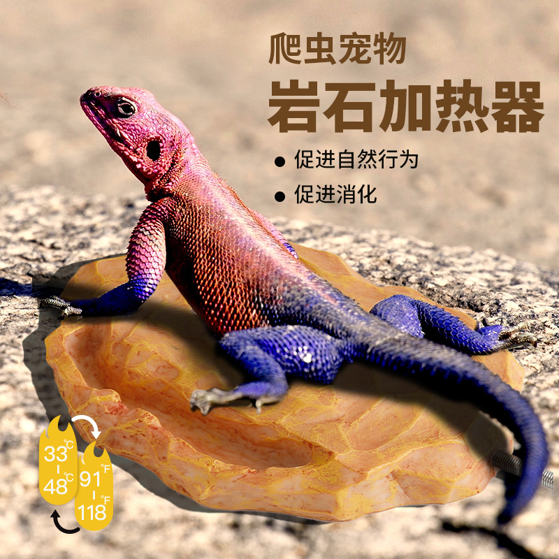 爬虫宠物温控加热保温岩石蜥蜴守宫宠物蛇乌龟加热12V 安全电压