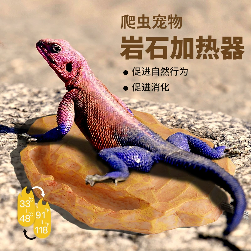 Рептилия Домашнее животное с контролируемой температурой Отопление Изоляция Каменная ящерица Шугонг Домашнее животное Змея Черепаха Отопление 12 В Безопасное напряжение