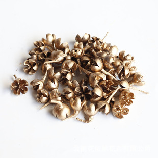 �ɻ��_�Ĺ���ɫʮ�ֹ�ԭɫ�ɹ����� DIY���Ϗ͹ŷQ����Ů�񹝻���