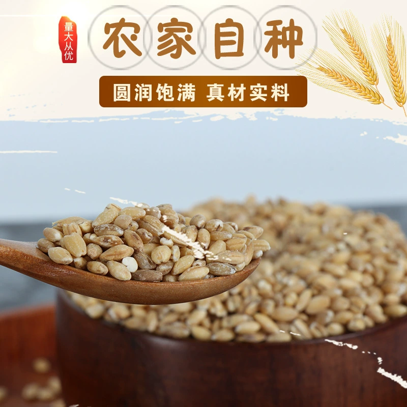 Ошелушение ячменного зерна и ячменного риса, произведенных фермером