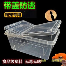 爬虫饲养盒爬宠箱活物蚕宝宝角蛙蜥蜴蜗牛宠物