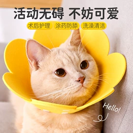 猫猫玩具;猫猫窝/笼/垫;狗狗玩具