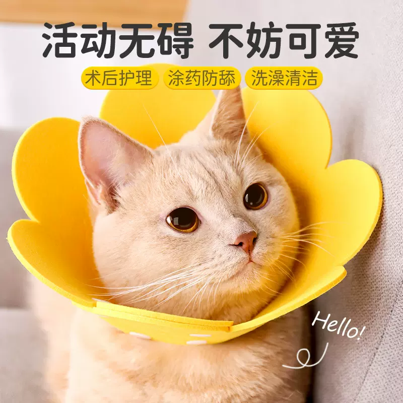 伊丽莎白圈猫绝育项圈猫咪头套防咬围脖伊利莎白圈狗脖圈宠物用品