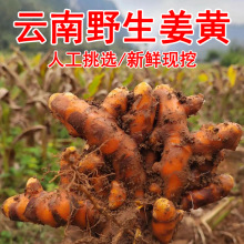 ҰSɽtӽԭϮa{șĮaֱl