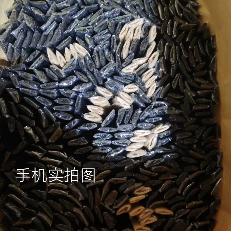 新数10