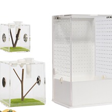 ��������֩����B����B��͸����������͸ ͸�� �����쾰 ����